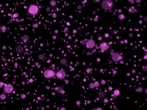 Nanika_SeeMyStore_screenshot_1-487x365