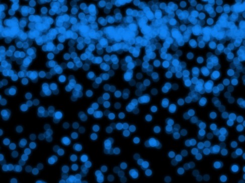 Nanika_SeeMyStore_screenshot_2-487x365