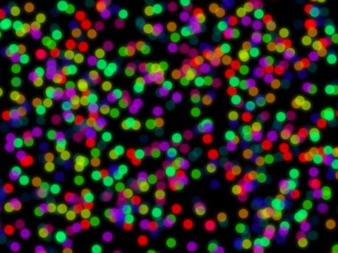 Nanika_SeeMyStore_screenshot_4-487x365