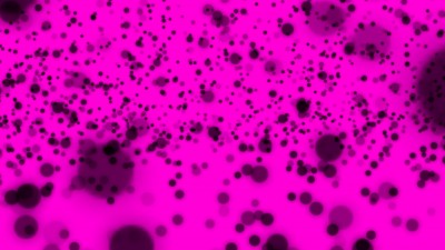 Nanika_SeeMyStore_screenshot_5-400x225