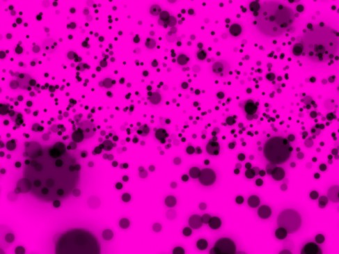 Nanika_SeeMyStore_screenshot_5-487x365